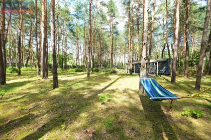 Działka 2000 m² w lesie pod Radzyminem – idealna na biwak i relaks działka Radzymin, Rejentówka, Borkowska
