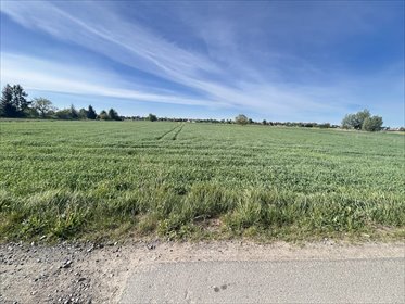 działka na sprzedaż 2997m2 działka Gorzów Wielkopolski, Siedlice