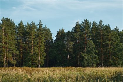 działka na sprzedaż 7700m2 działka Łękawica