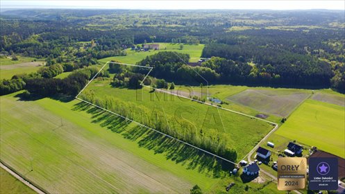 działka na sprzedaż 10000m2 działka Bieszkowice, Wiejska