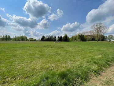 działka na sprzedaż 3000m2 działka Więcki