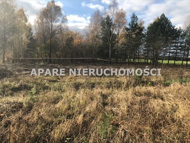 działka na sprzedaż 2030m2 działka Dzbądz, Paulinowo