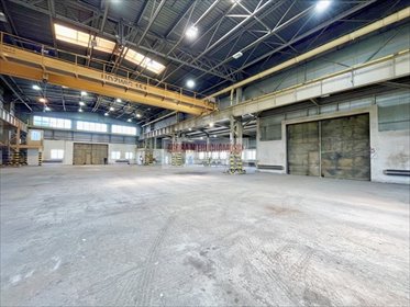 magazyn na wynajem 1000m2 magazyn Kraków, Rybitwy, Rybitwy, Półłanki