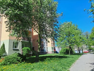 mieszkanie na sprzedaż 50m2 mieszkanie Katowice, Józefowiec, Józefowska