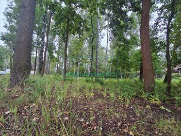 działka na sprzedaż 2400m2 działka Milanówek