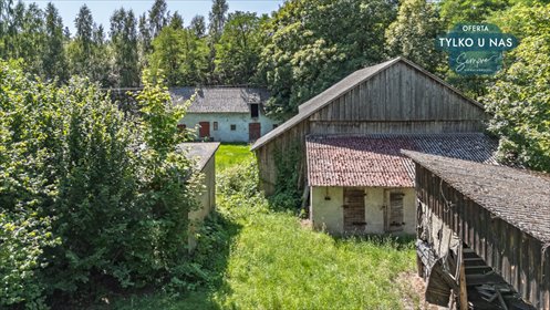 Działka 8600 m² z lasem, zabudowaniami i dostępem do mediów działka Stefanów Ruszkowski