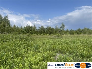 działka na sprzedaż 999m2 działka Ciemne