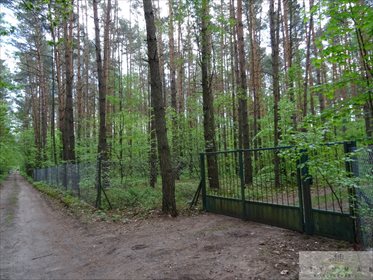 Działka leśna z prawem budowy na sprzedaż Kwiatkowice-Las 2 420m2 Foto 4