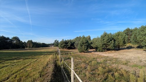 działka na sprzedaż 1m2 działka Kazimierzów
