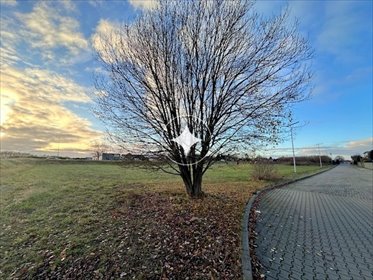 działka na sprzedaż 8236m2 działka Zajączkowo