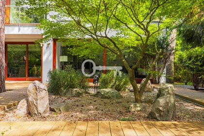 dom na wynajem 280m2 dom Konstancin-Jeziorna, Konstancin- Jeziorna