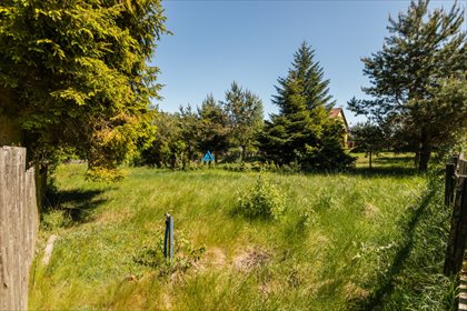 Działka rekreacyjna 480 m2 w Dobrogoszczu, uzbrojona działka Dobrogoszcz