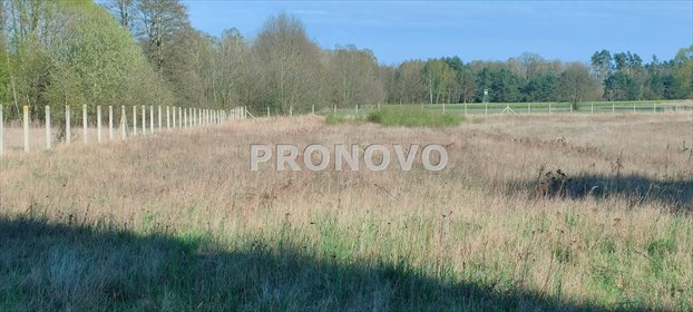 działka na sprzedaż 14500m2 działka Stawno