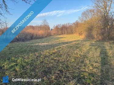 działka na sprzedaż 7101m2 działka Rydzyn Włościański