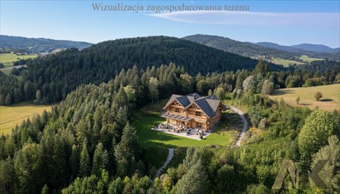 działka na sprzedaż 12800m2 działka Piorunka