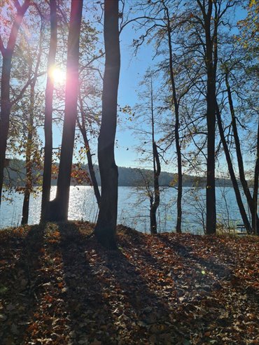 działka na sprzedaż 3000m2 działka Grzybowo