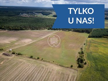 Polecam teren inwestycyjny 5 ha w Dąbrówce Nowej działka Dąbrówka Nowa