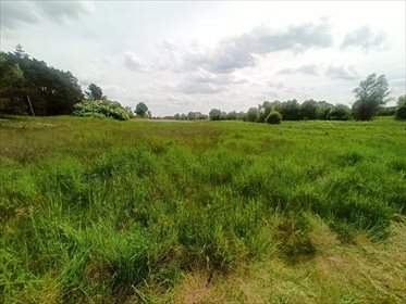 Działka rolna na sprzedaż Nowe Marzy 7 800m2 Foto 3