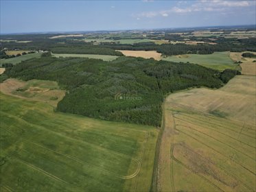 Polecam urokliwą działkę 9 977 m² z możliwością zabudowy i rekultywacji stawu działka Szczodrowo