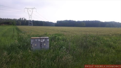 Działka budowlana na sprzedaż Bartków 2 700m2 Foto 3