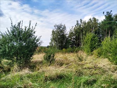 Działka budowlana na sprzedaż Osolin, Oborniki Śląskie 2 718m2 Foto 2