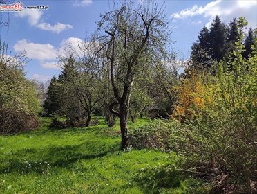 Działka budowlana 1300 m² z mediami, ogrodzona - polecam! działka Grabówki, Grabówki, Jedynaka