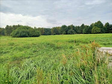 Działka siedliskowa na sprzedaż Malerzów, Dobroszyce 2 000m2 Foto 2