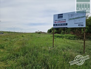 działka na sprzedaż 42000m2 działka Sulechów, Kruszyna