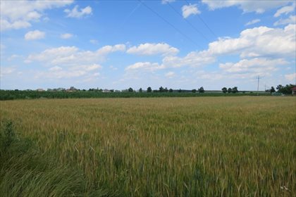 Do sprzedania działka budowlana 1000 m² z mediami w drodze działka Nieciszów