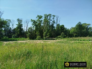 działka na sprzedaż 970m2 działka Halickie