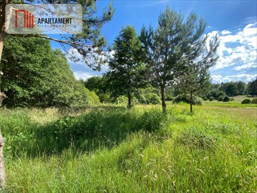 działka na sprzedaż 11510m2 działka Nowa Kiszewa