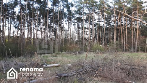 działka na sprzedaż 1403m2 działka Mielno