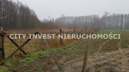 Działka rolna na sprzedaż Bogaczów 6 600m2 Foto 1