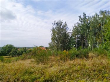 Działka budowlana na sprzedaż Osolin, Oborniki Śląskie 2 718m2 Foto 7
