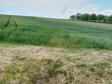 Na sprzedaż dwie działki 58 arów przy drodze asfaltowej działka Grodzisko Dolne
