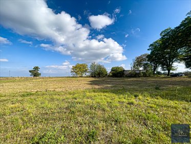 Działka budowlana 1594 m² w Zelgniewie - pod zabudowę jednorodzinną działka Zelgniewo
