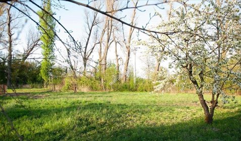 działka na sprzedaż 1032m2 działka Janki