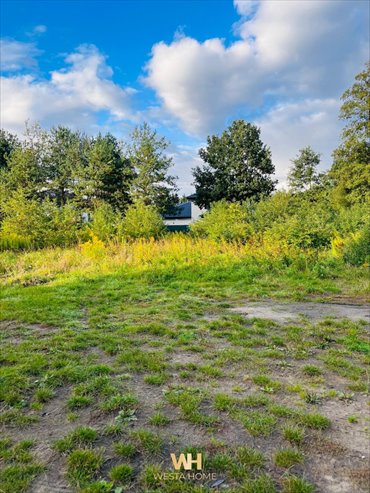 Atrakcyjna działka budowlana 1287 m² w Michałowie-Reginowie. działka Michałów-Reginów