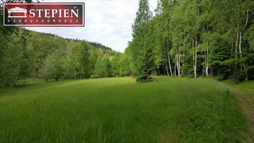 Działka budowlana na sprzedaż Antoniów 9 100m2 Foto 4
