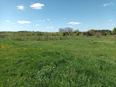 Działka rekreacyjna nad rzeką Wkrą 4681 m², Sochocin działka Sochocin