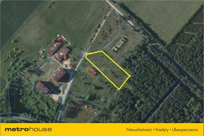 Działka rolna na sprzedaż Orzeszki, Rozogi 10 800m2 Foto 7