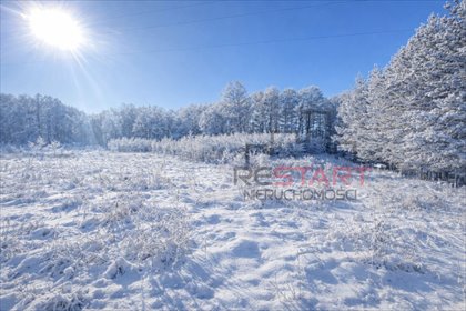 działka na sprzedaż 1500m2 działka Zboiska