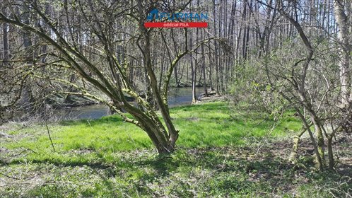 działka na sprzedaż 2100m2 działka Zabrodzie