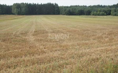 Działka budowlana na sprzedaż Sucha Górna, Sucha Górna 21 311m2 Foto 2