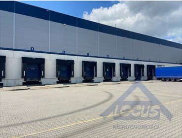 Magazyn 7400 m² z biurem, dokami i temperaturą. magazyn Ołtarzew