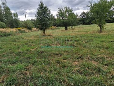 działka na sprzedaż 2400m2 działka Kuranów