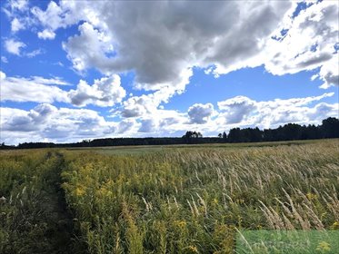Zapraszam do zakupu działki 3012 m² pod zabudowę wielorodzinną działka Żółwia Błoć