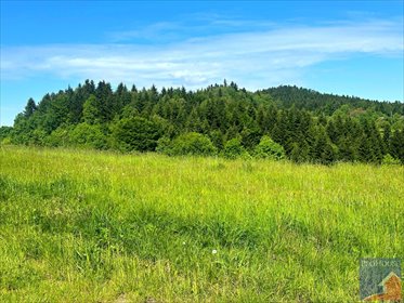 działka na sprzedaż 5200m2 działka Zawadka