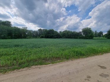 działka na sprzedaż 4157m2 działka Bodzanów, Kępska