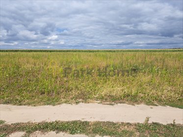 działka na sprzedaż 870m2 działka Stary Lubosz